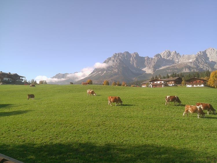 The Hills are Alive with the Sound of Music!